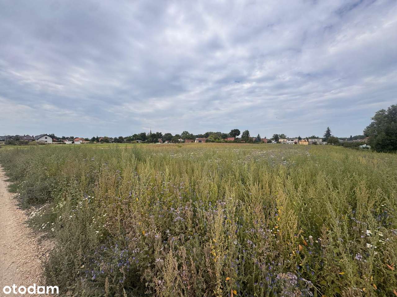 Duża działka objęta MPZP-3