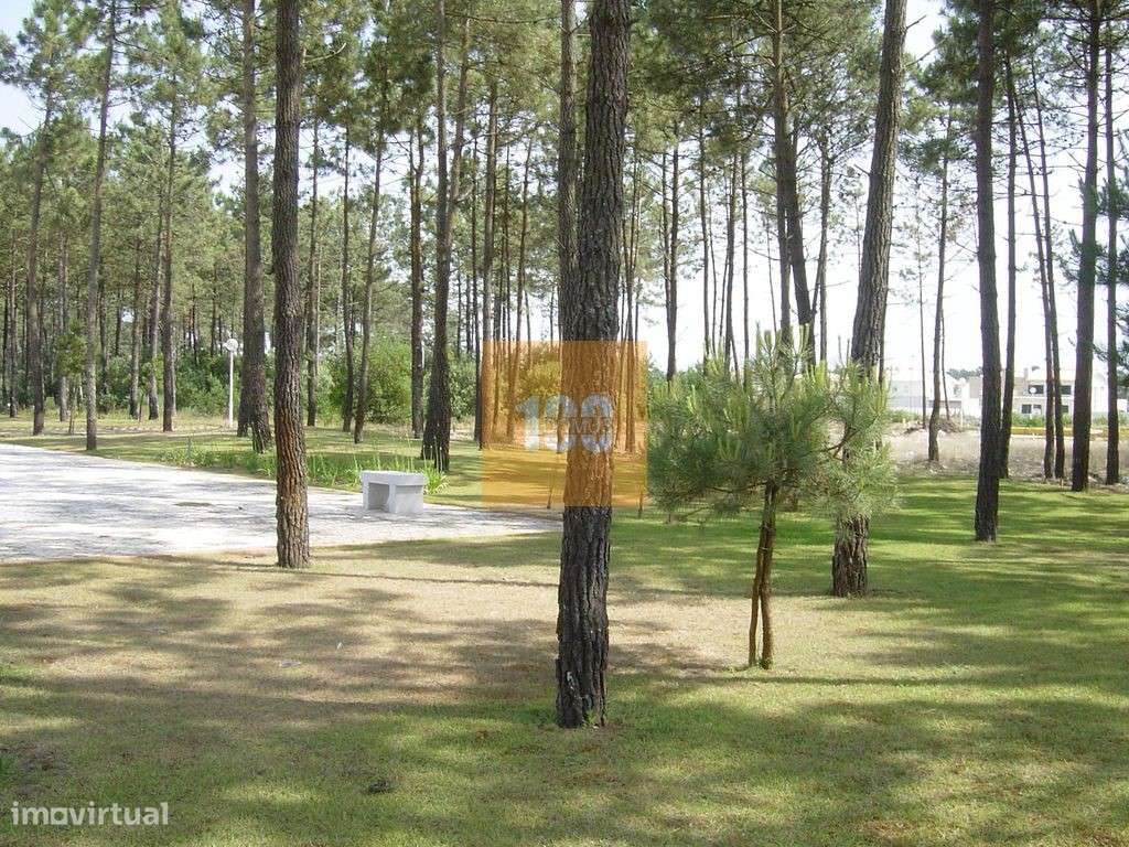 Moradia T3 no Furadouro - Grande imagem: 4/19