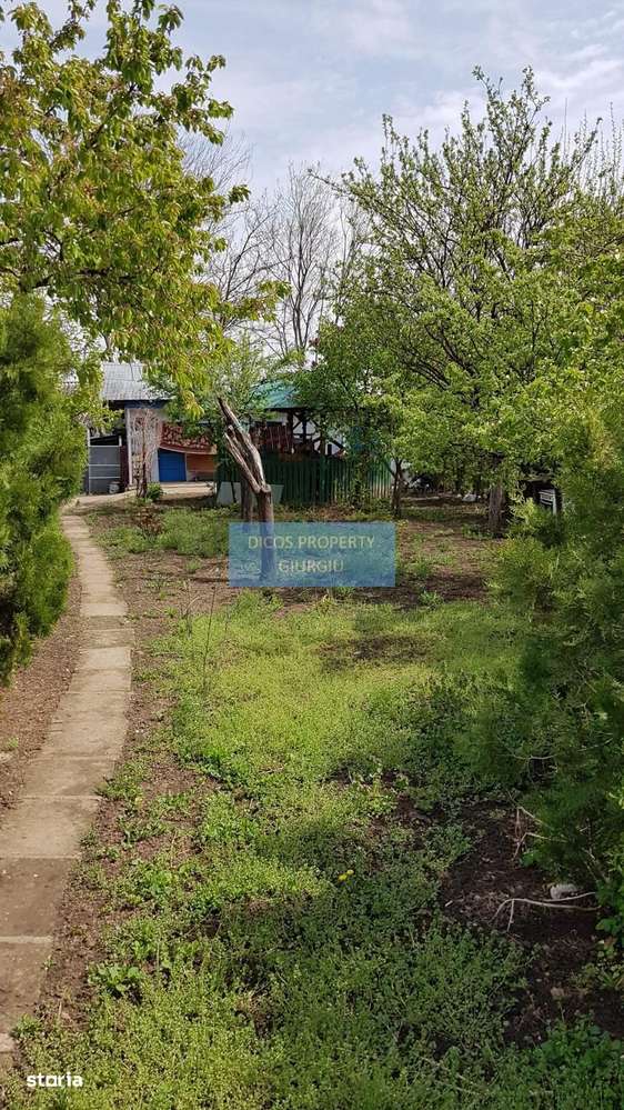 Teren 2.600 mp, utilități, Str. Merișor – Giurgiu-8