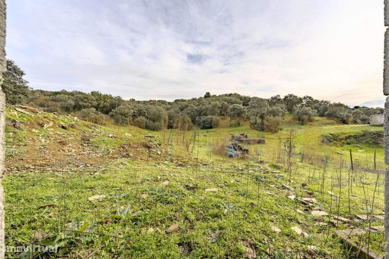 Quinta do Arieiro - Cedovim | Vila Nova de Foz Côa | Douro Superior-44