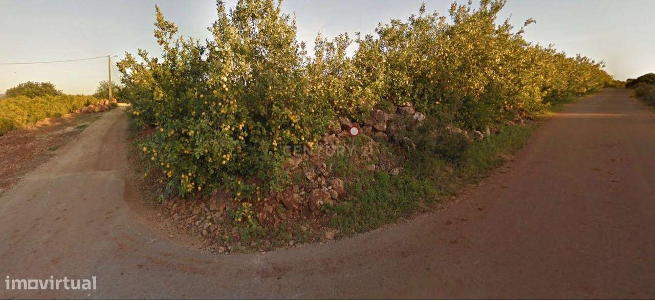 Terreno com 6 hectares e armazém de apoio - Grande imagem: 2/3