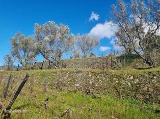 Terreno  para venda