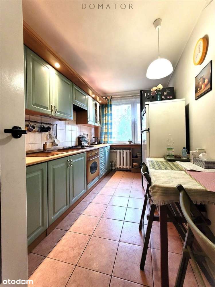 3 duże pokoje, balkon, niski blok przy Parku Róż-4