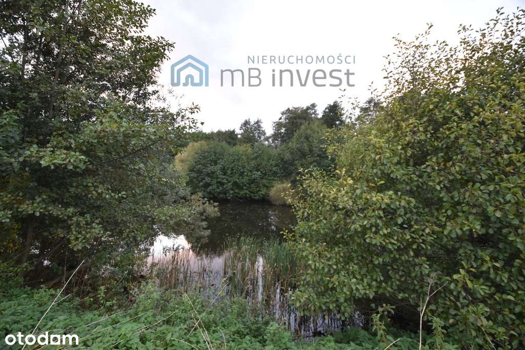 DZIAŁKA ZE STAWEM–OAZA CISZY I NATURY-ŻUŁAWKA-2