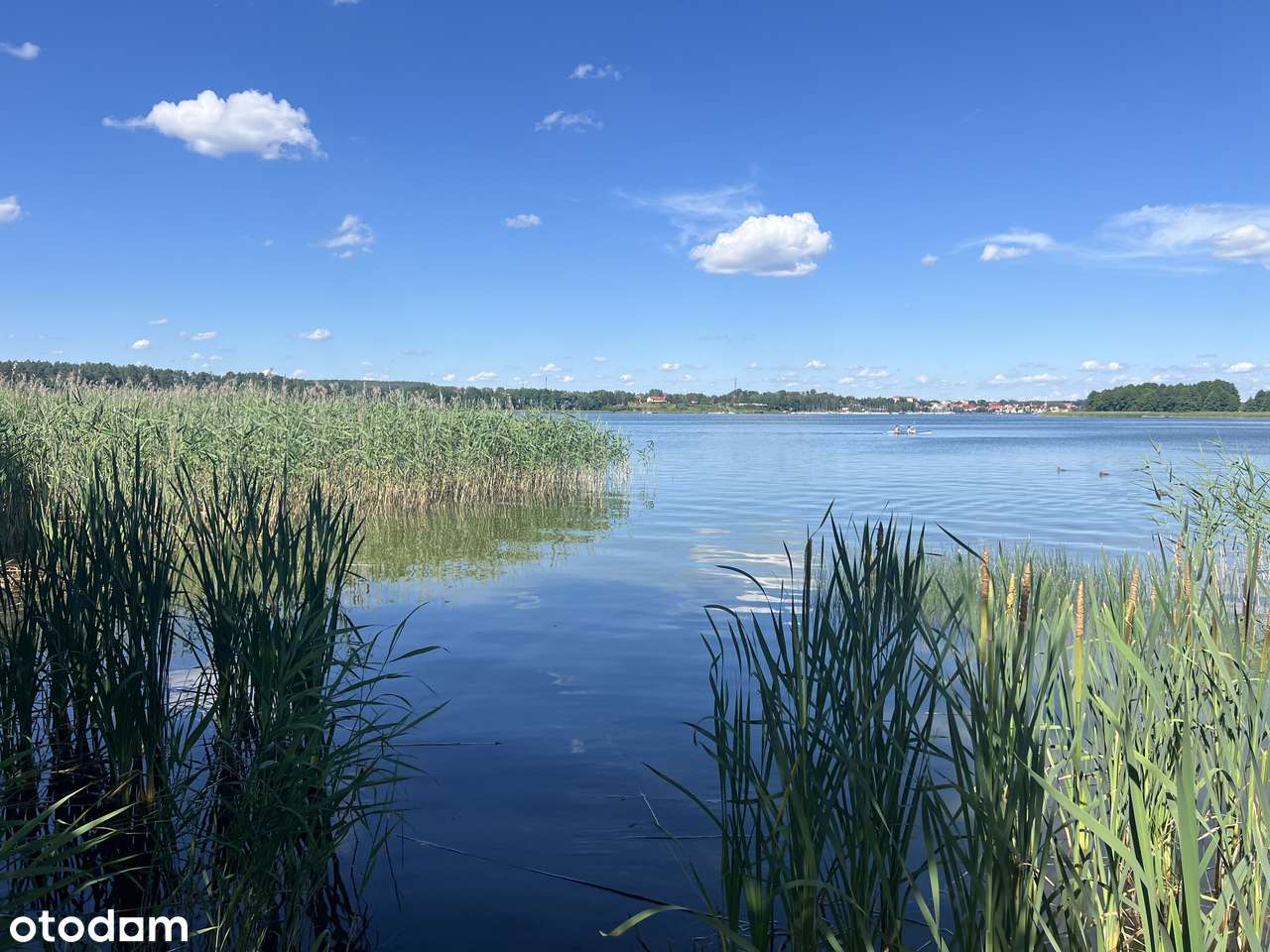 Mazurskie Siedlisko z Linią Brzegową nad jeziorem Ryńskim - SWJM - PNB-6