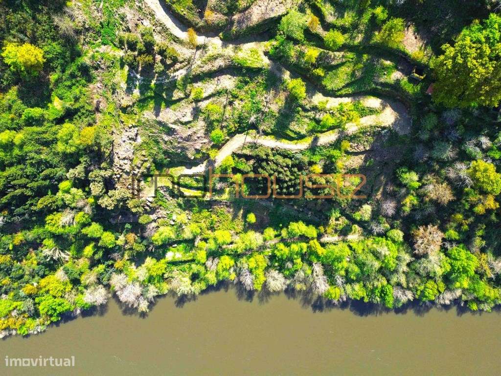 Quinta com frente de Rio Douro-29