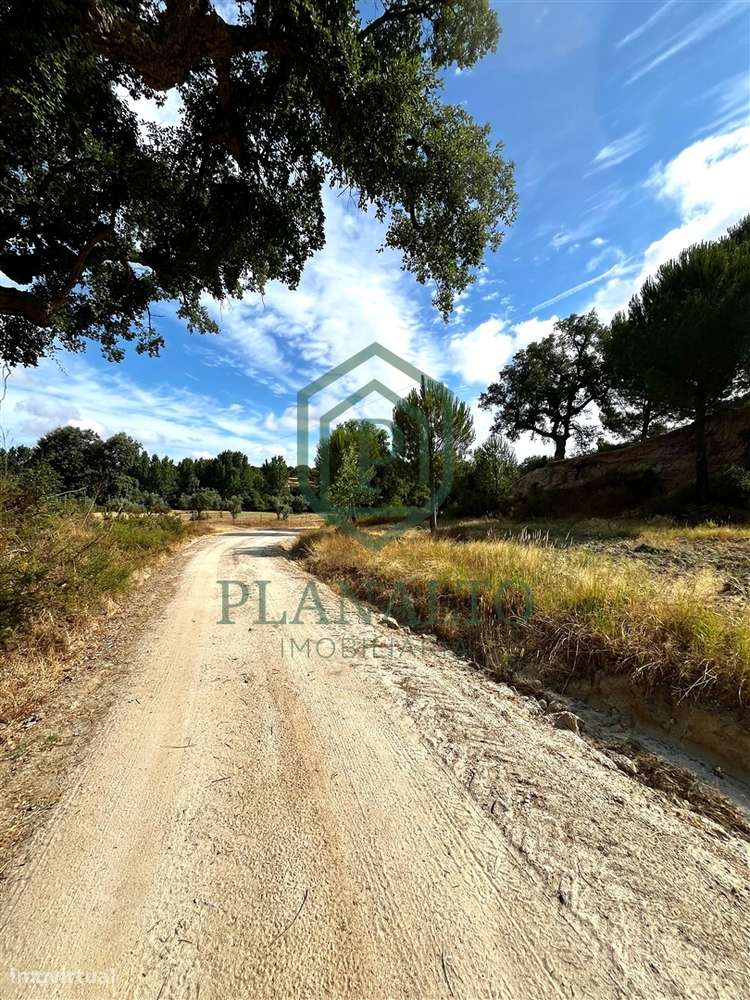 Quinta >=T10 Venda em Cortiçadas de Lavre e Lavre,Montemor-o-Novo-40