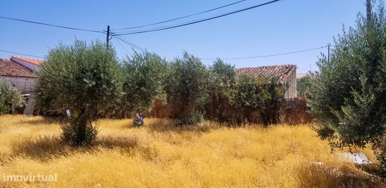 Ruína isolada T3 + casão, em Algodor, Mértola - Ideal para famílias e - Grande imagem: 5/14