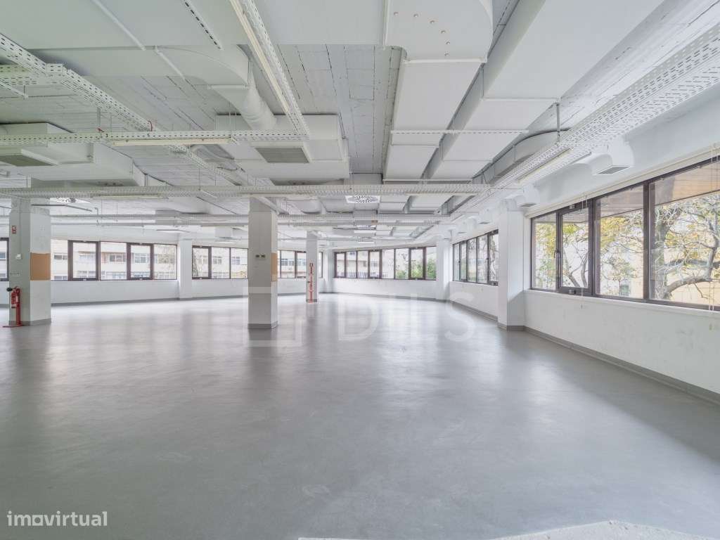 Escritório para arrendar, na Rua Ricardo Severo, Boavista - Grande imagem: 4/21