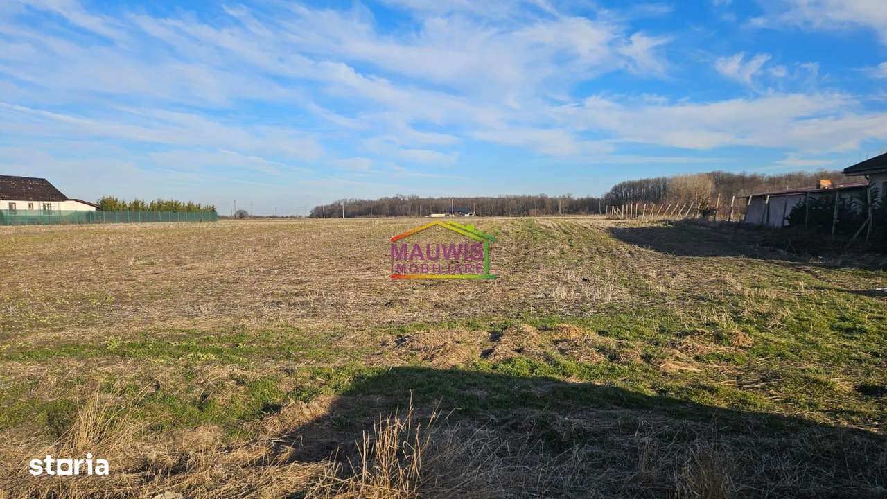 Vanzari Terenuri ILFOV - SUD VARTEJU-3