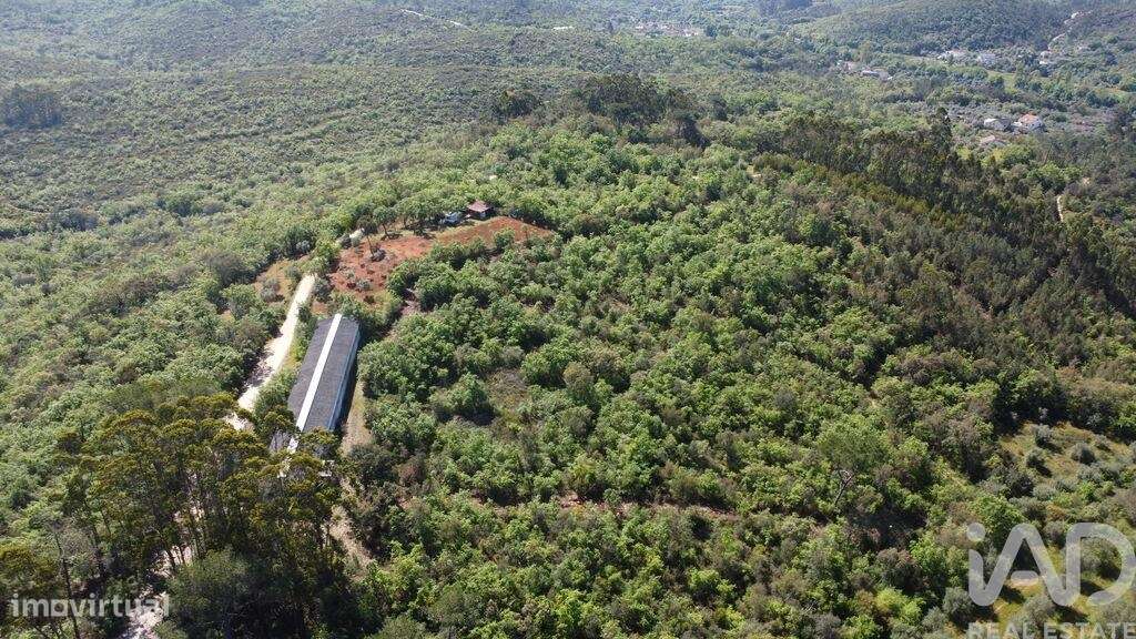Armazém em Freixianda, Ribeira do Fárrio e Formigais de 378,00 m2 - Grande imagem: 4/29