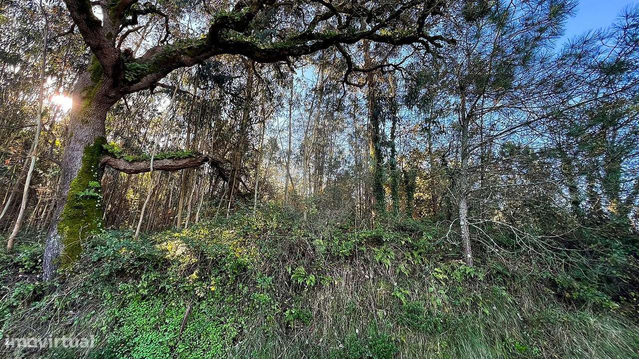 Terreno  para venda - Grande imagem: 5/10