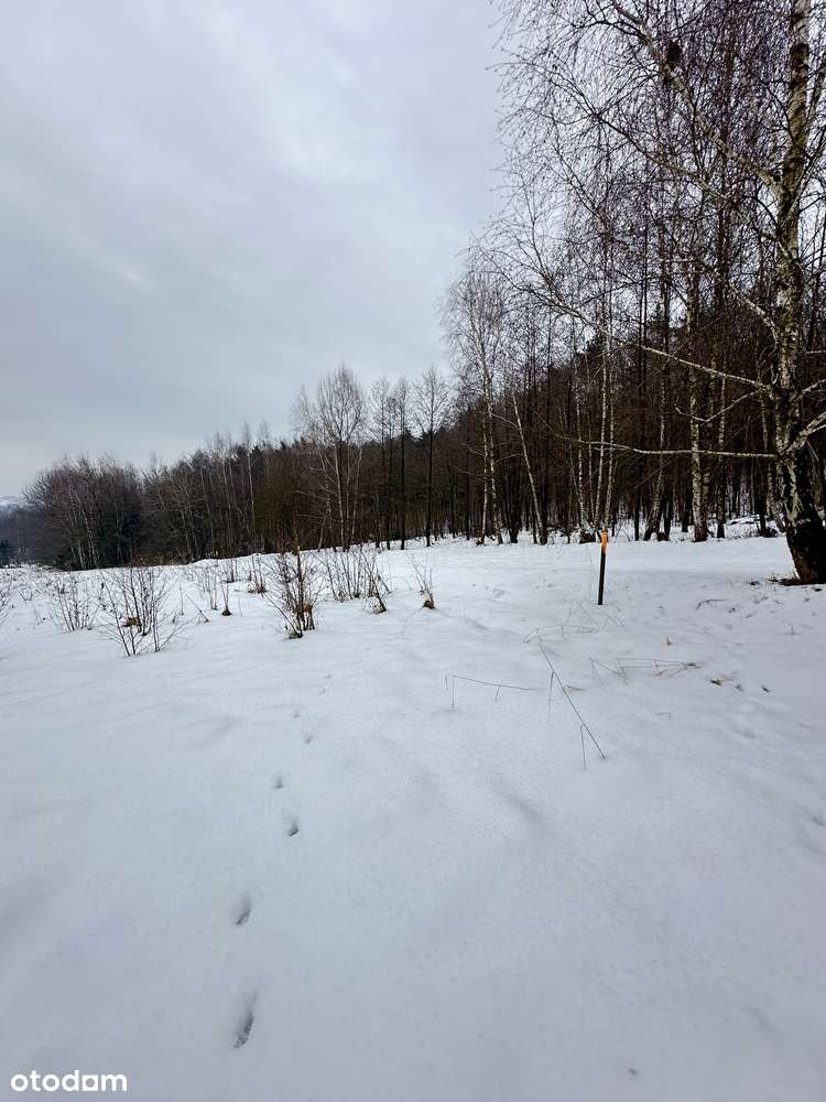 Duża działka pod lasem - Łazany blisko Wieliczki i Gdowa-11