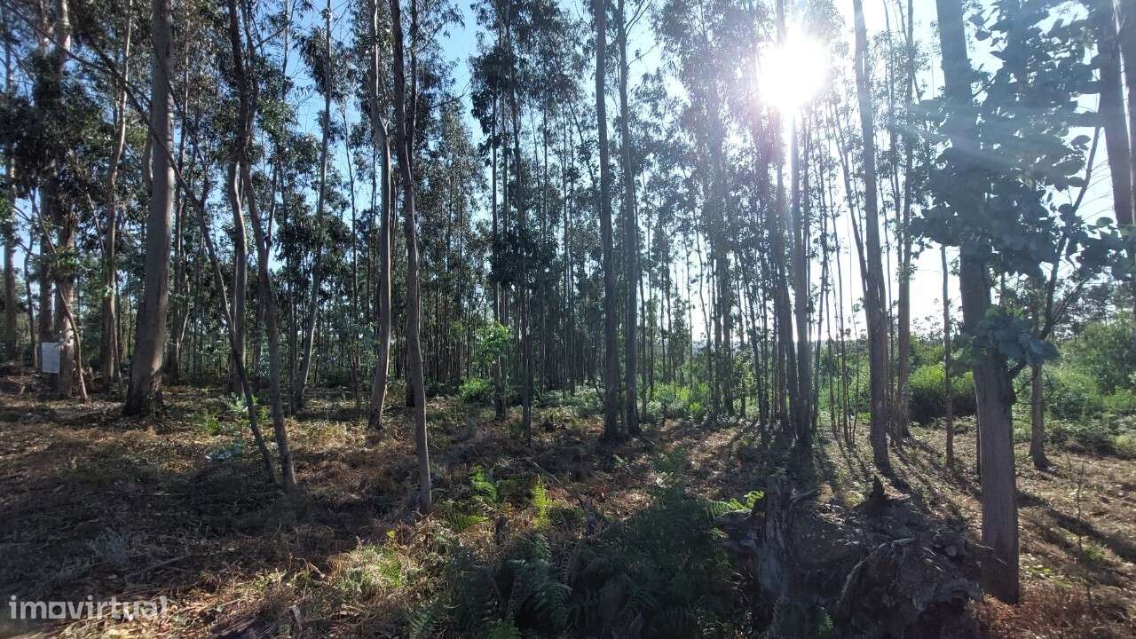 Terreno para construção em Escapães. - Grande imagem: 4/4