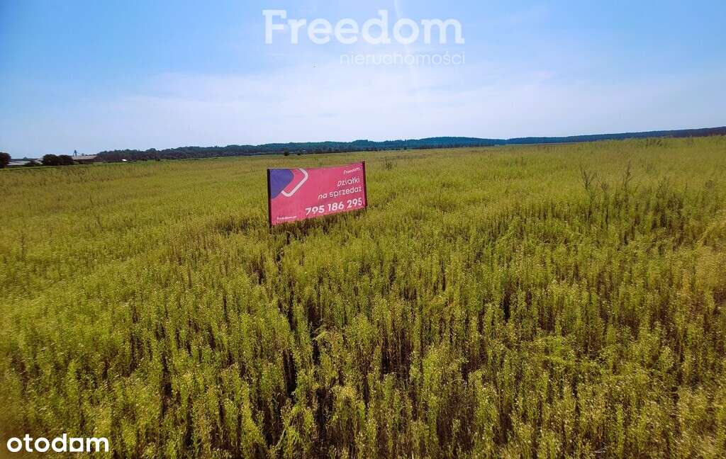 Działka na Mazurach Napiwoda Nidzica - Pełny obrazek: 4/20