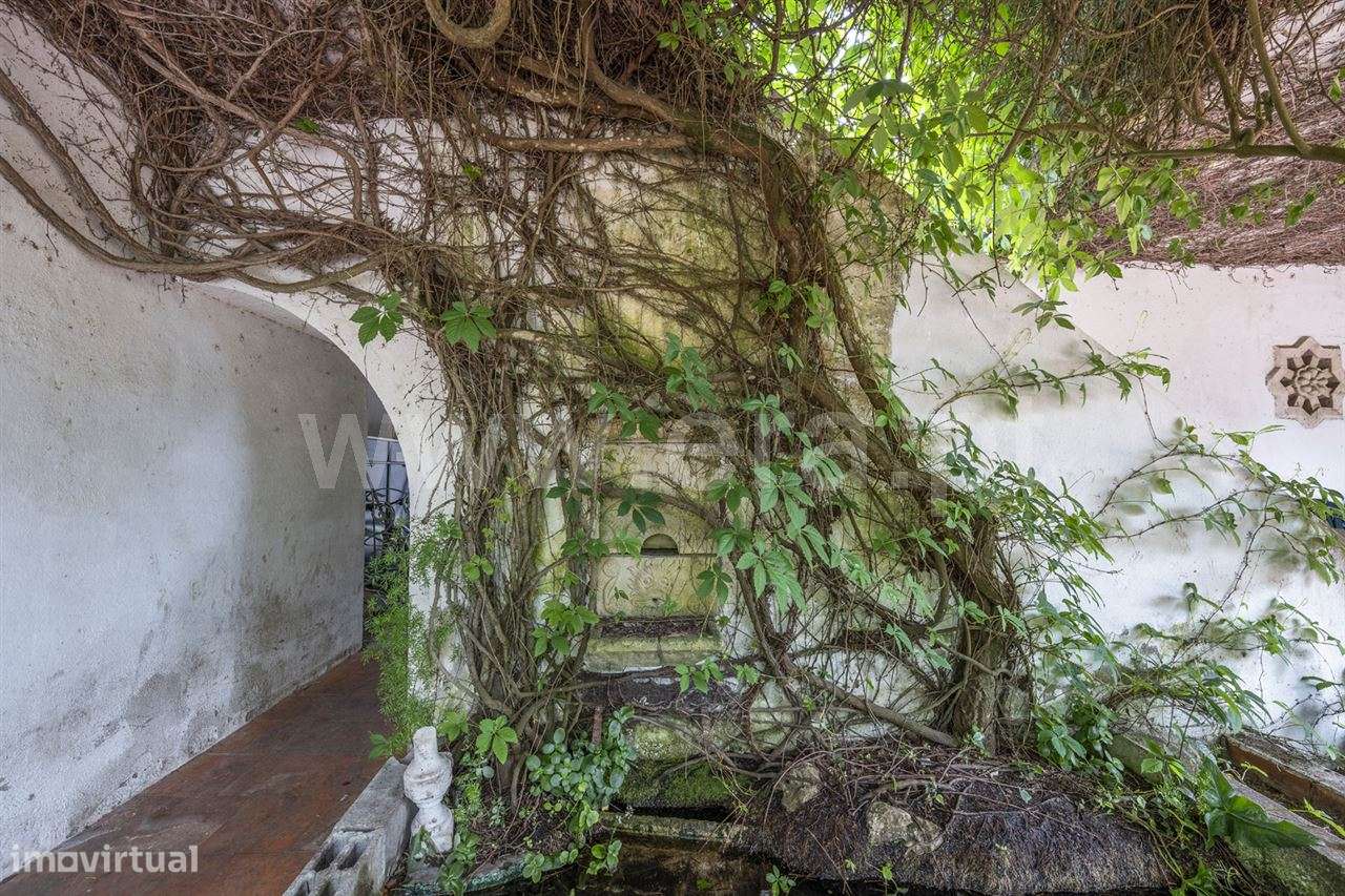 Magnifica Quinta T7; Verdizela-43