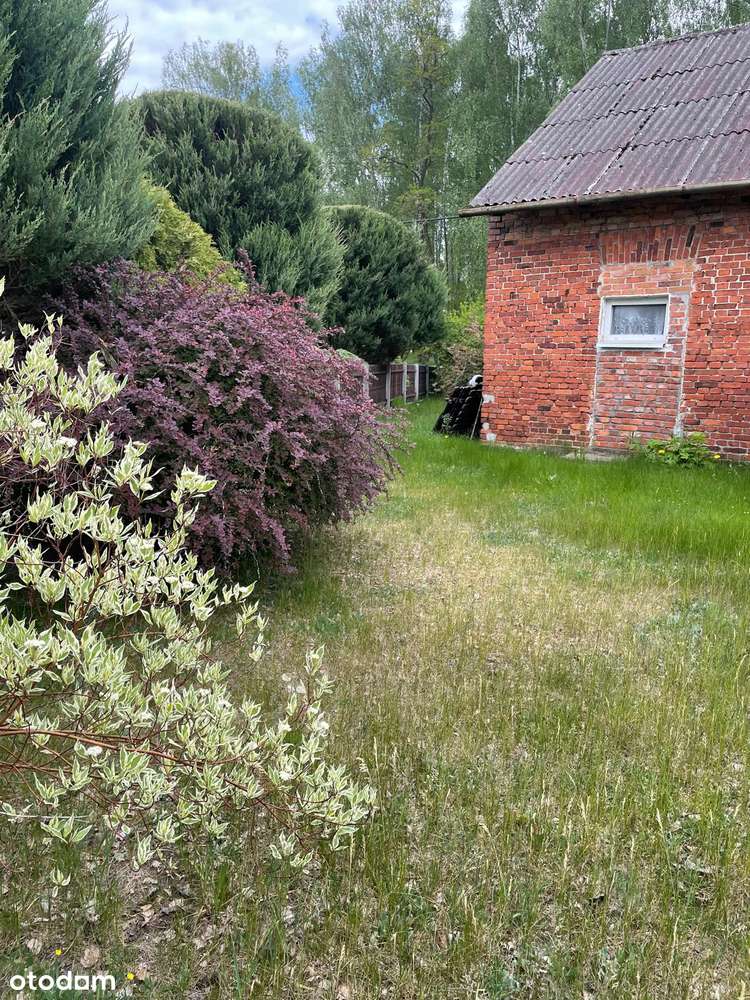Dom w spokojnej okolicy ( okolice Częstochowy )-11