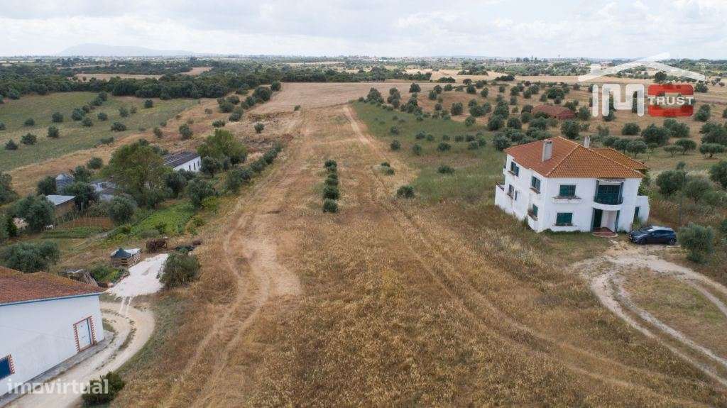 Terreno Rústico - Almoster - Oportunidade - Grande imagem: 2/3