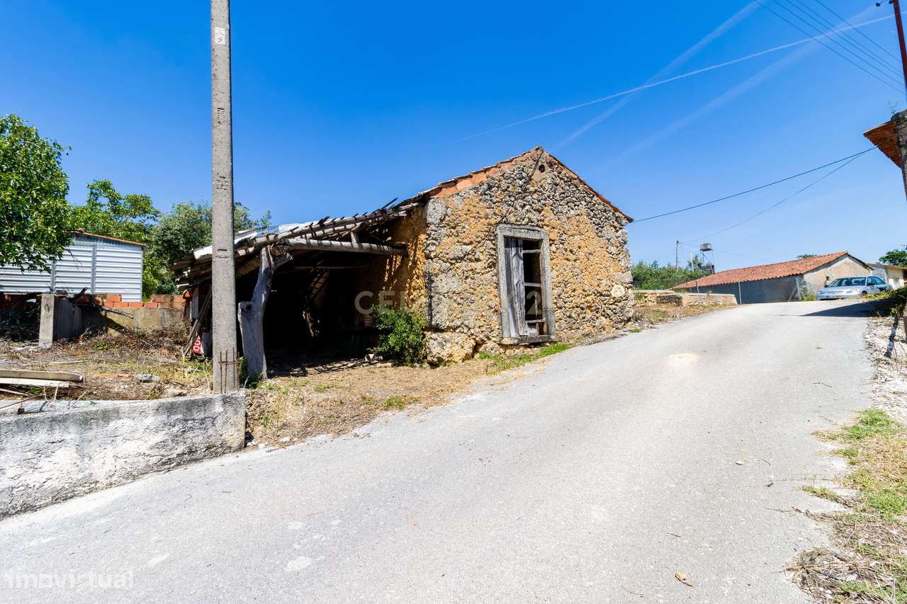Terreno com ruina de arrumos Casais da Abadia ,Caxarias com Árvores Fr - Grande imagem: 2/8