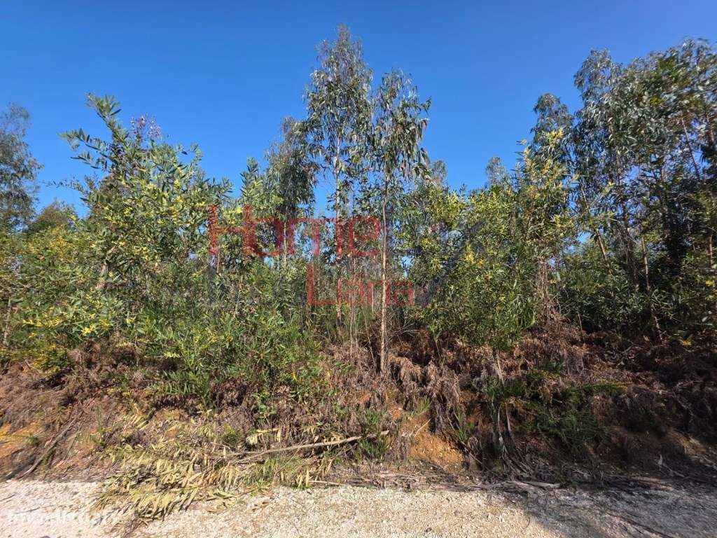 Terreno na zona industrial de Albergaria-a-Velha-8