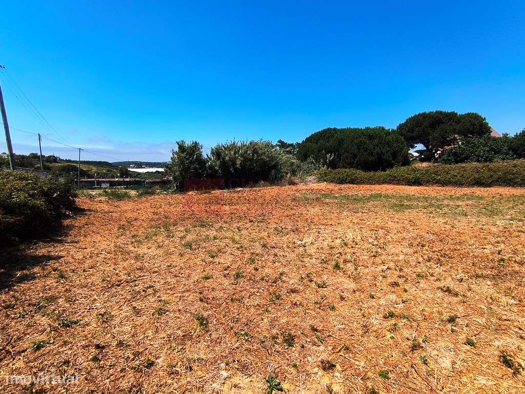 Ericeira - Seixal - Terreno com estudo para 5 moradias isoladas-7