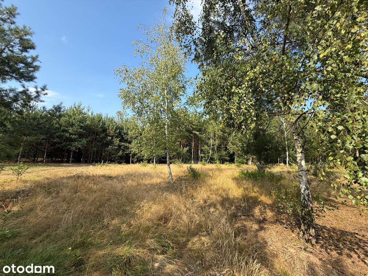 Działka z prywatnym dostępem do jeziora Sumino-9