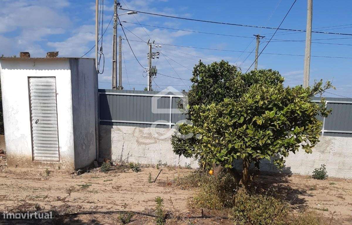 Terreno para construção com 7.415 m² em Cabanas, Quinta do Anjo, Palme-13