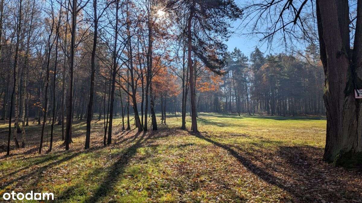 Działka Premium z prywatny lasem - 7,99ha-10