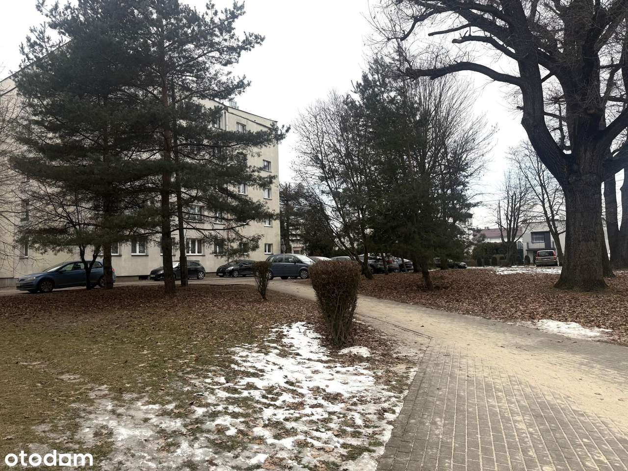 4 pokoje z widokiem na park | 74,5 m² | II piętro | Łaziska Górne-19