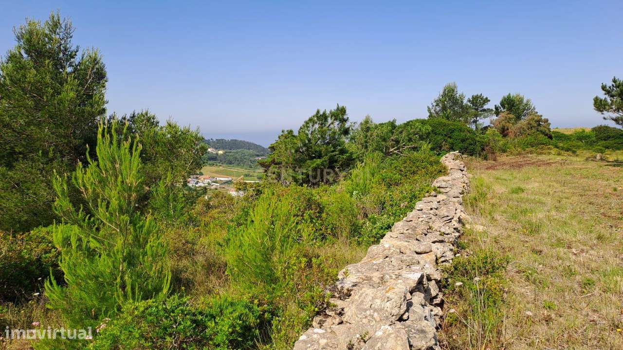 Terreno Rústico junto ao Forte do Zambujal e Trilho da Carvoeira - Grande imagem: 3/18
