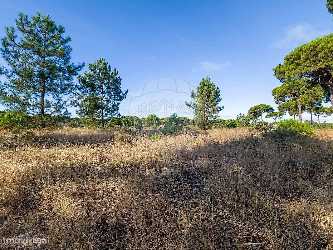 Terreno  para venda - Grande imagem: 3/13