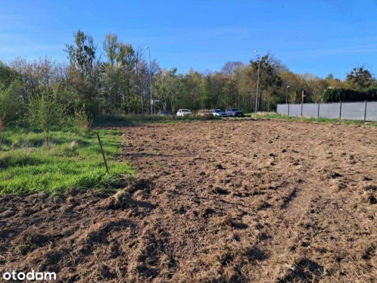 Gdynia ale klimat wiejski i morze-1