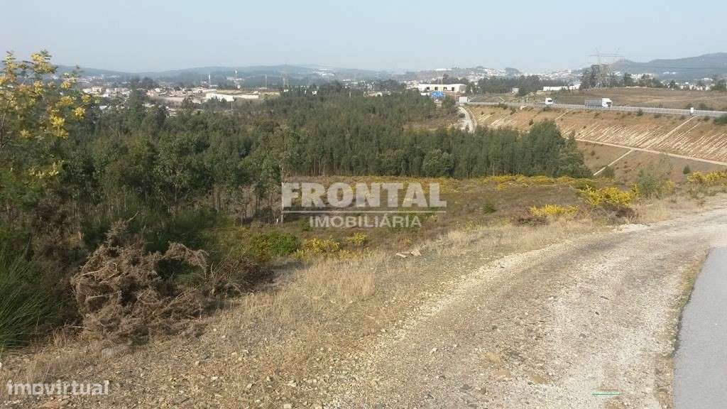 Terreno Industrial - 9.999 m² | Zona Industrial de Campo, Valongo - Grande imagem: 2/7
