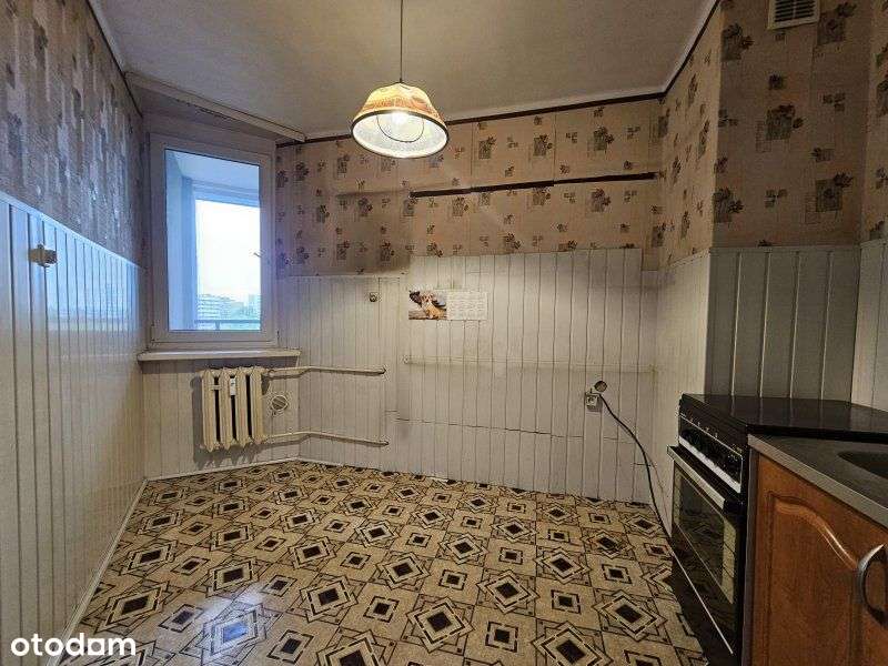 3 pokoje Os. Tysiąclecia, Kukurydza-8