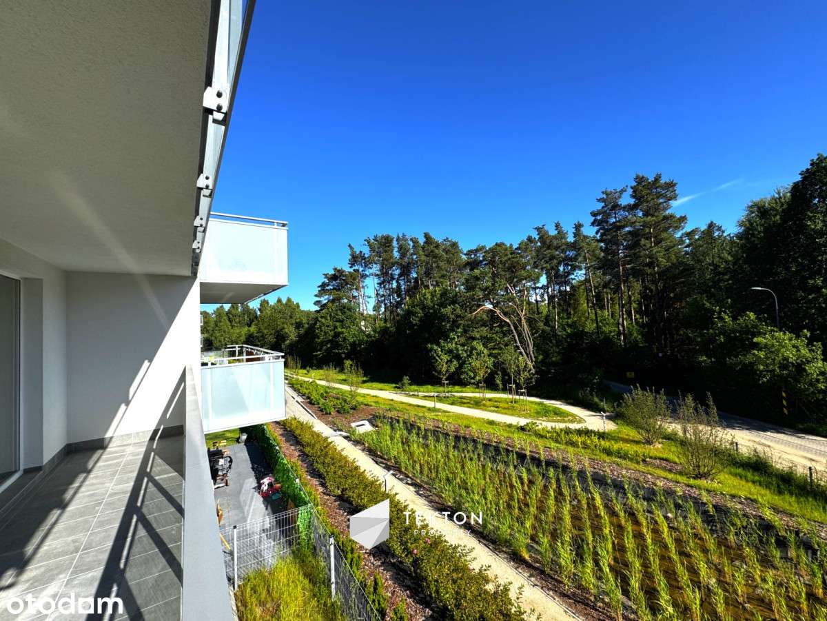 Słońce i las za oknem | Południowy zachód | Widok! - Pełny obrazek: 4/16