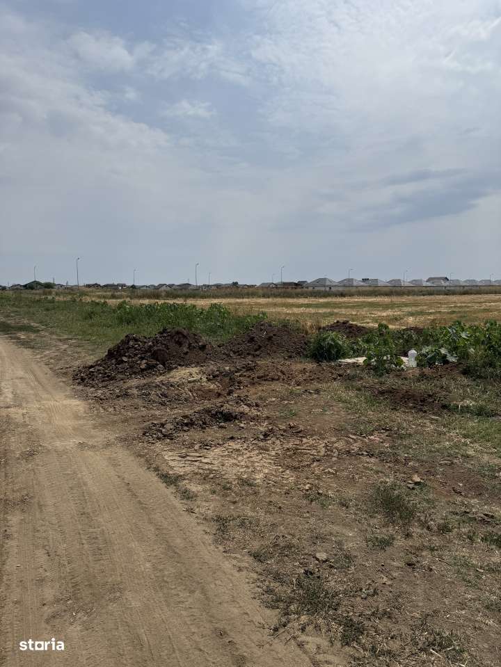 Teren Pantelimon Flamingo-1