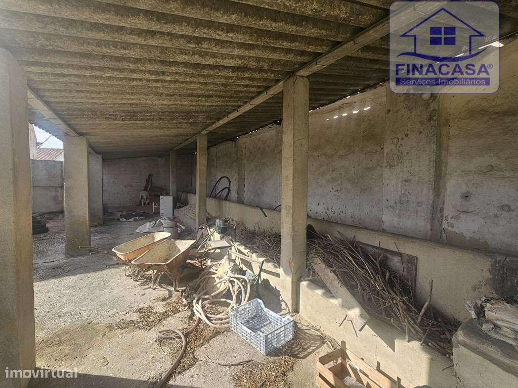 EXCLUSIVO - Quinta com 2069 m2, T1 e um armazém - Asseiceira(Palmela)-34