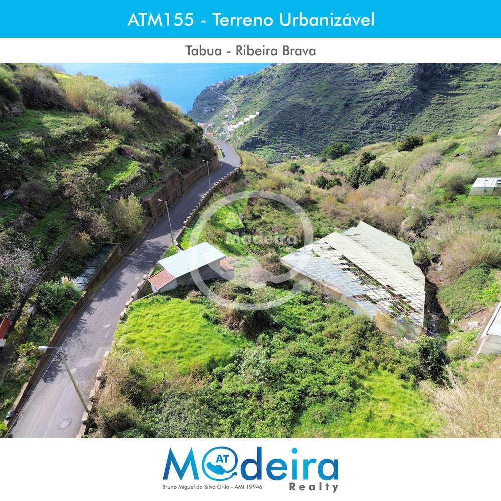 Terreno Urbanizável - 522 m2 - Tabua - Ribeira Brava - Grande imagem: 5/5