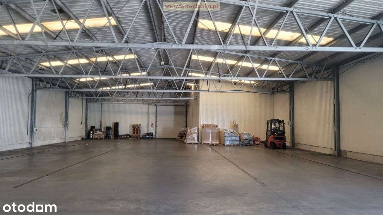 Hala 1000 mkw - Pełny obrazek: 2/3