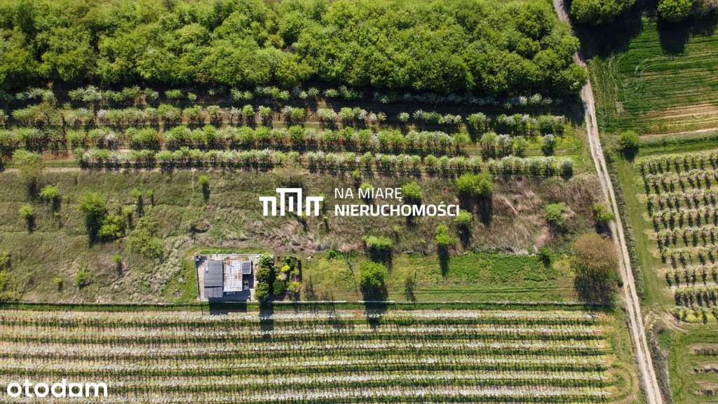 Działka w Sandomierzu | 37.9 a | Piękna okolica - Pełny obrazek: 3/9