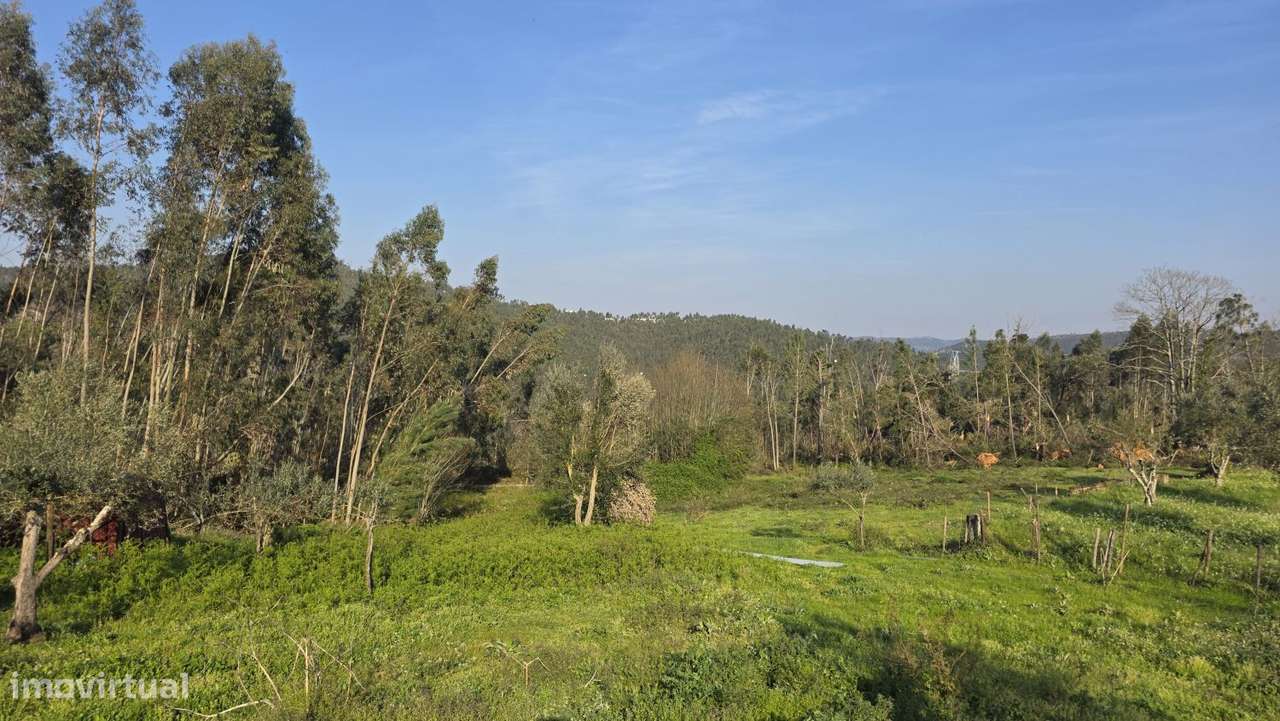 Moradia para restaurar, com terreno, perto de Ferreira do Zêzere-59