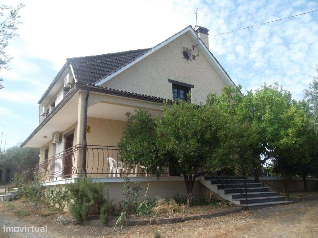 Quinta com grande vivenda em Castelo Branco - Grande imagem: 5/30
