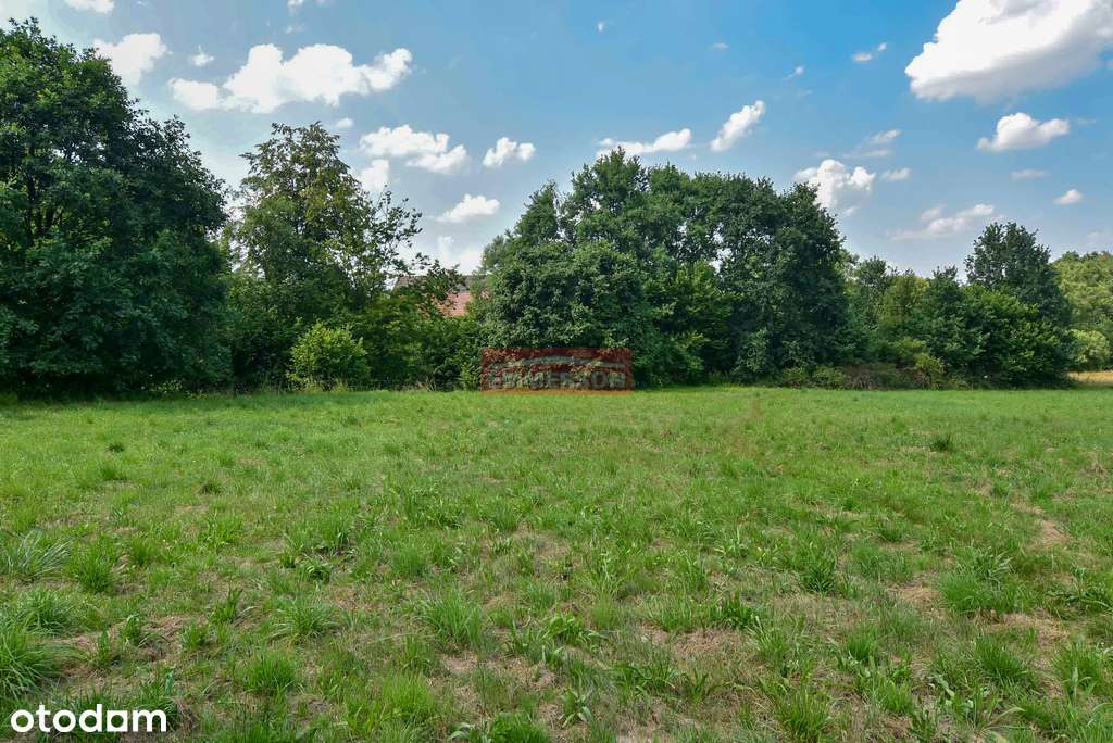 Działka inwestycyjna z pięknym widokiem.Krzywaczka - Pełny obrazek: 4/7