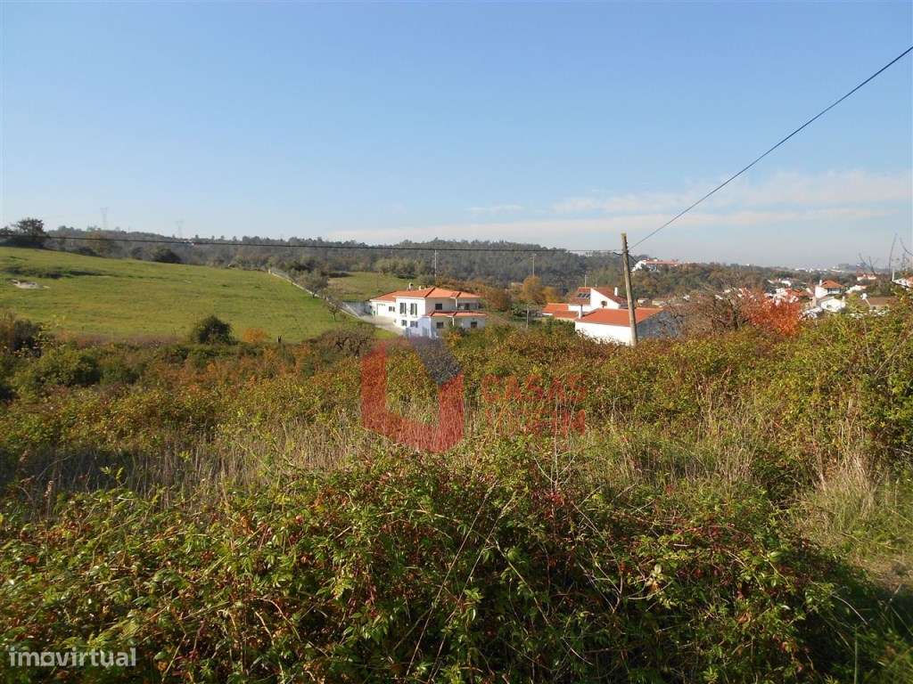 - BAIXA DE PREÇO - Terreno de cultura com 4 artigos com 1110m2 no t... - Grande imagem: 3/4