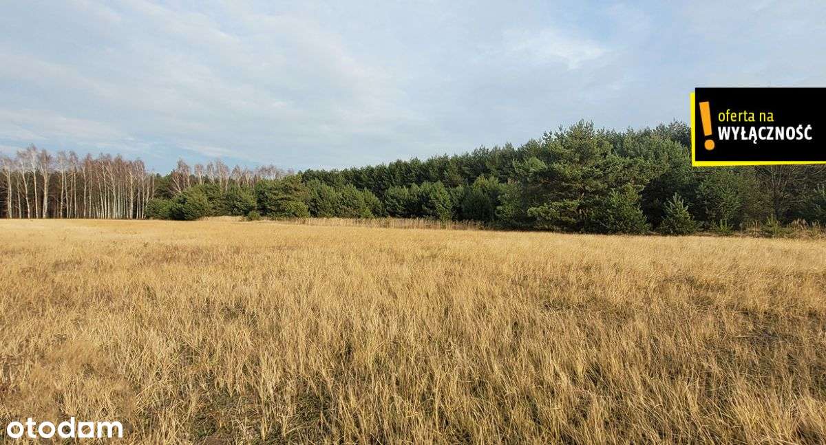 Działka blisko lasu.-14