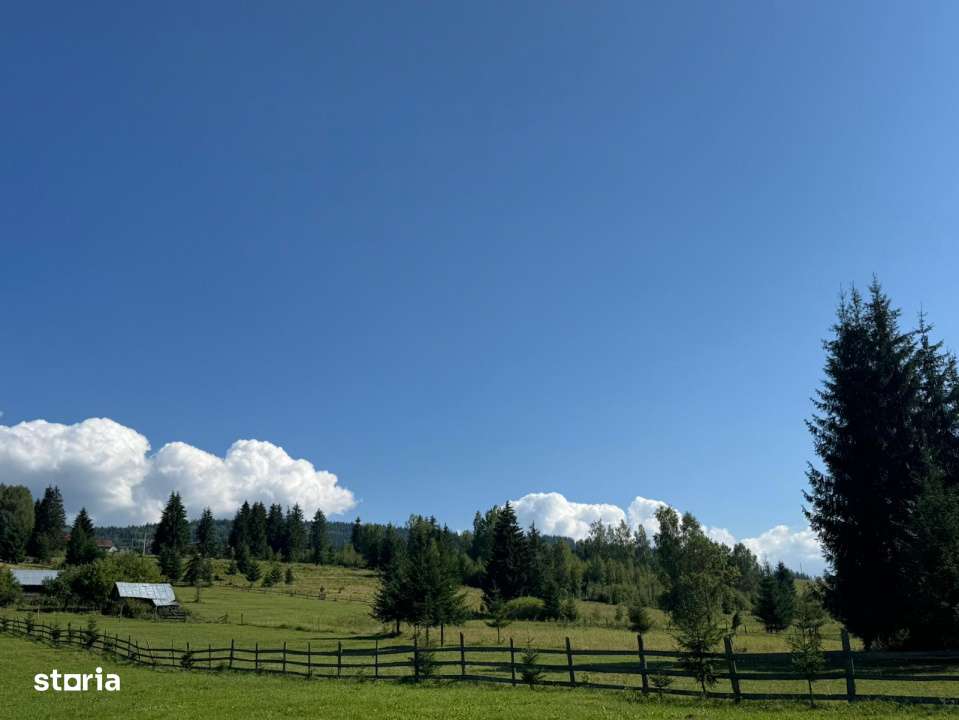 Vanzare 33400 parcelat- 18 loturi - Plaiul Sarului la sosea- microdezv-6