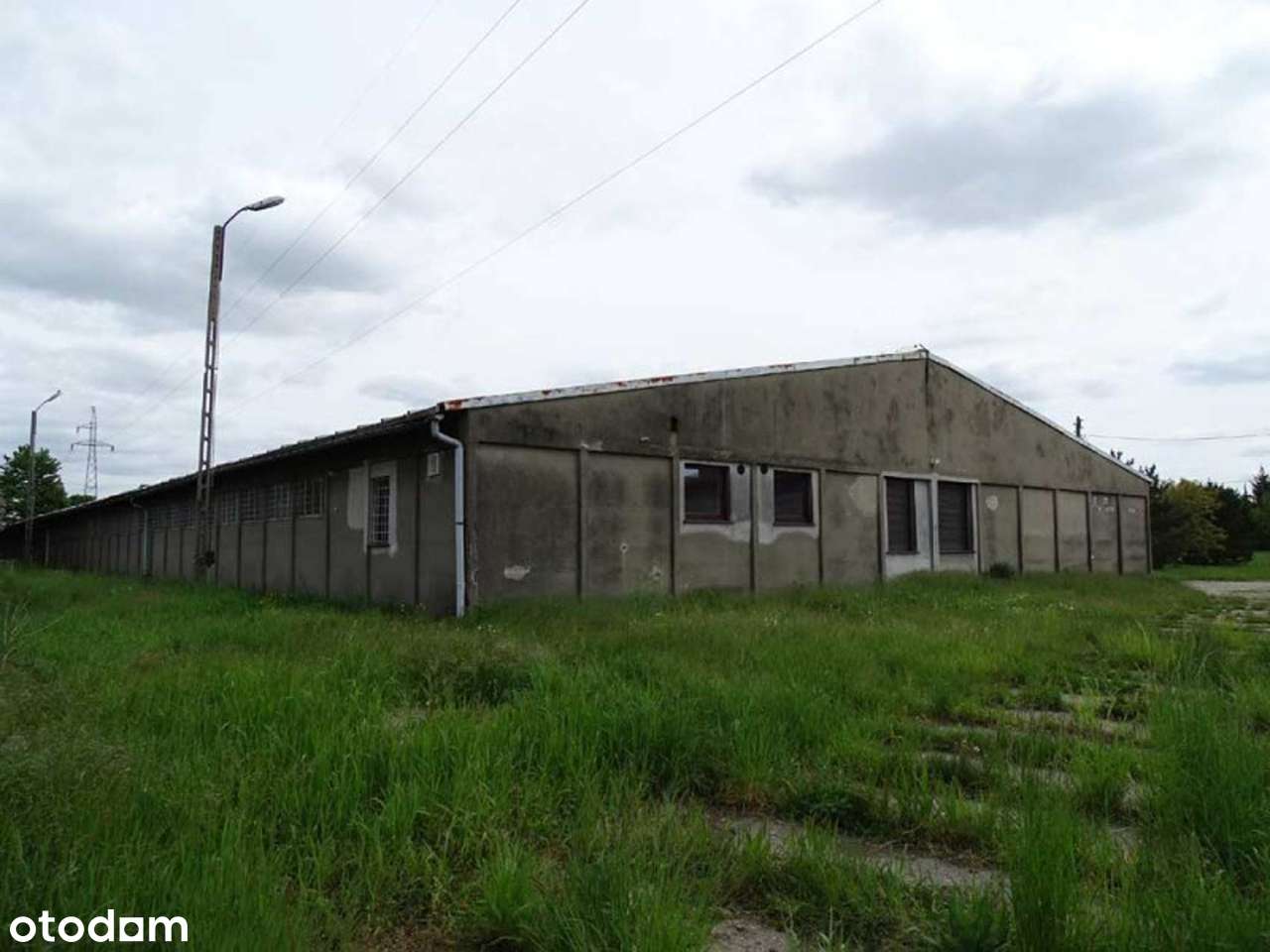 Nieruchomość komercyjna do wynajęcia - Pełny obrazek: 4/12