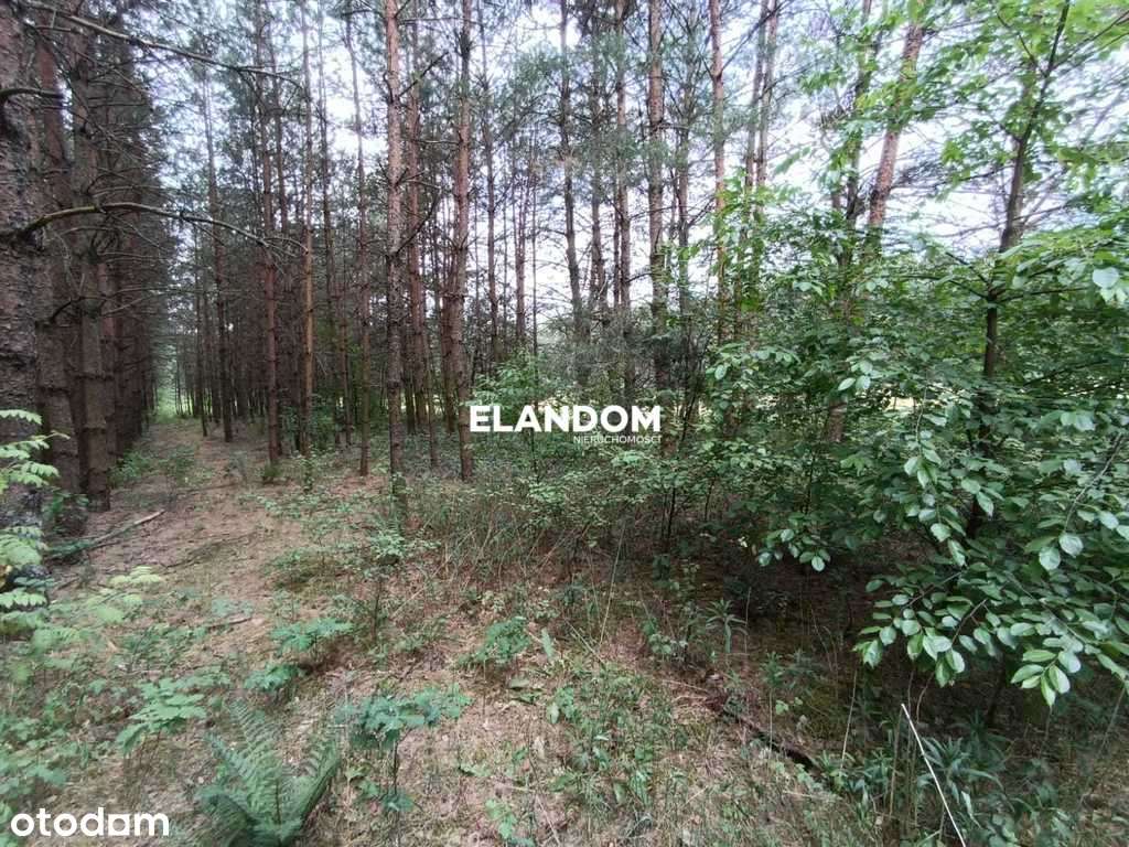 Działka rolno leśna Kołbiel ul Polna - Pełny obrazek: 5/8