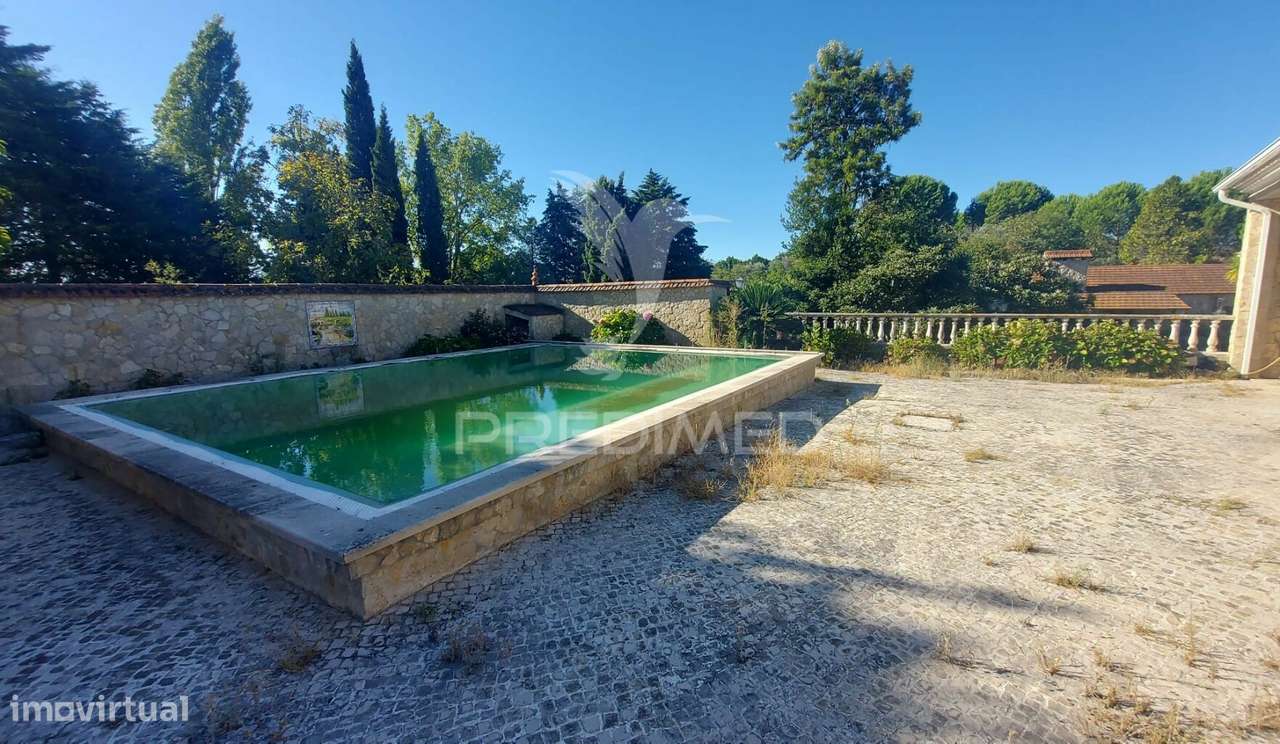 Quinta com Moradia T4, piscina, Terreno com 3 ha, Santarém. - Grande imagem: 4/35