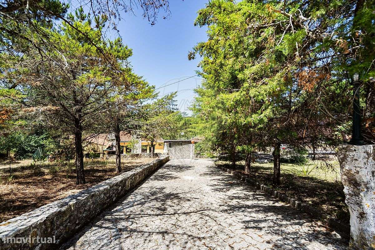 Outros - Comercial T0 para venda - Grande imagem: 5/49